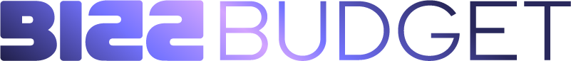 Bizz Budget
